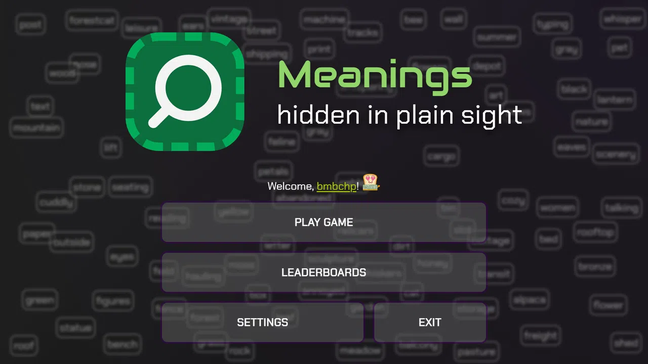 Meanings hidden in plain sight Screenshot 0