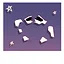 The Inevitable icon