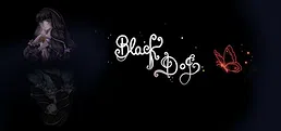 BlackDog
