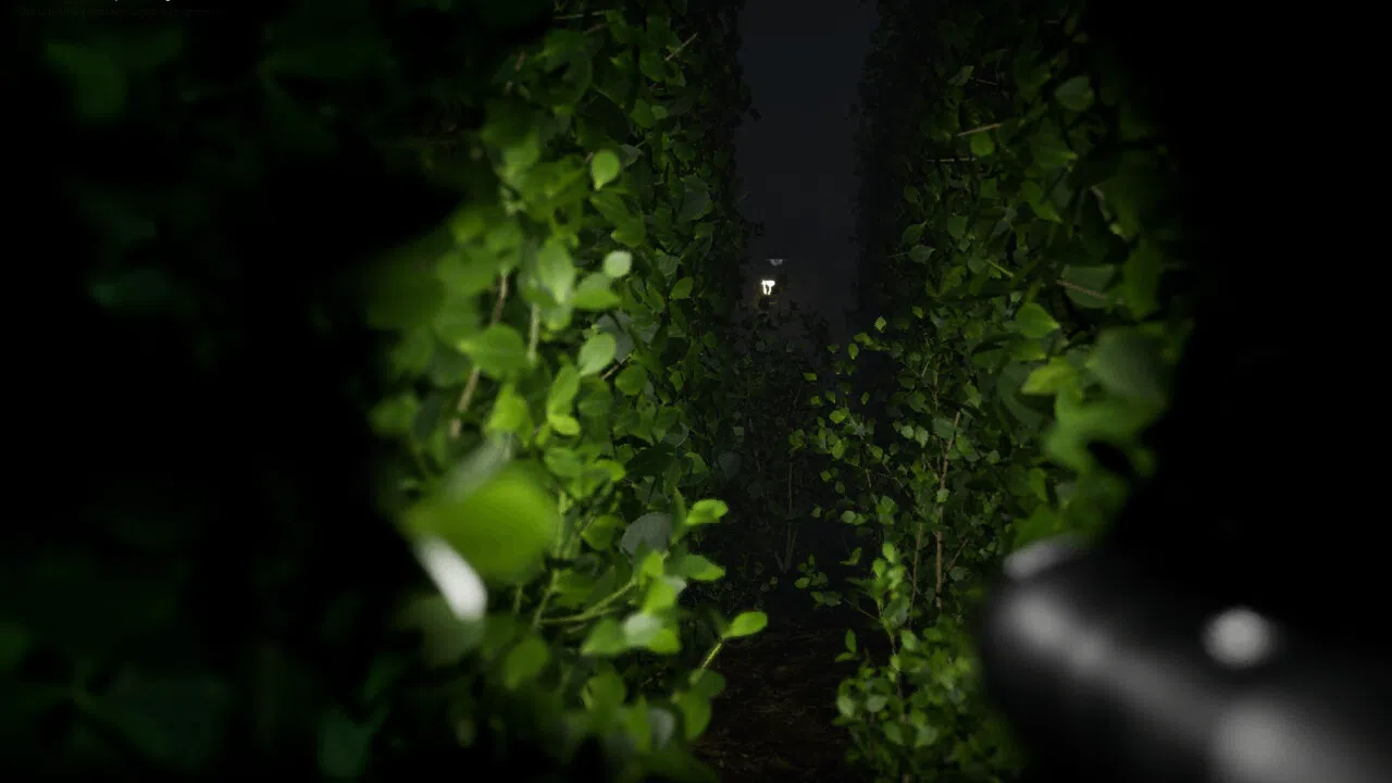 Cursed Maze Screenshot 3
