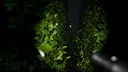 Cursed Maze Screenshot 3