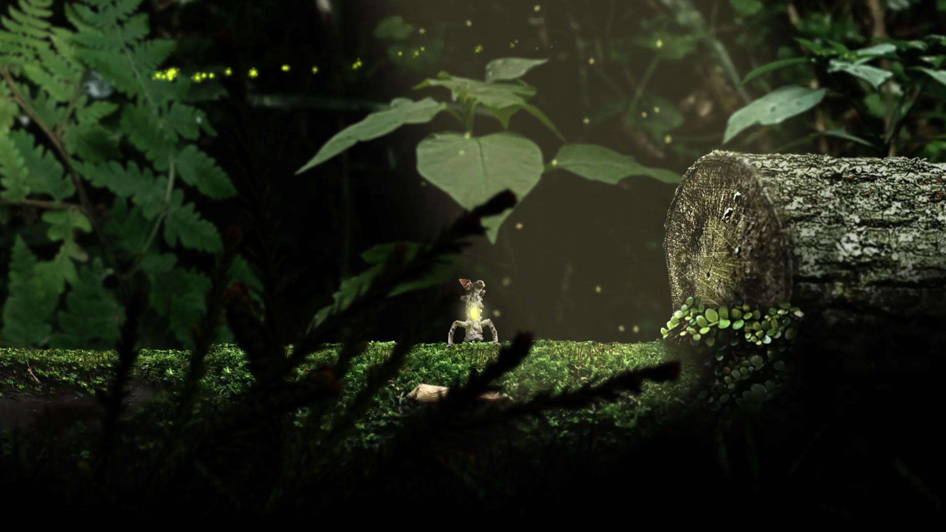 Seedlings Screenshot 0