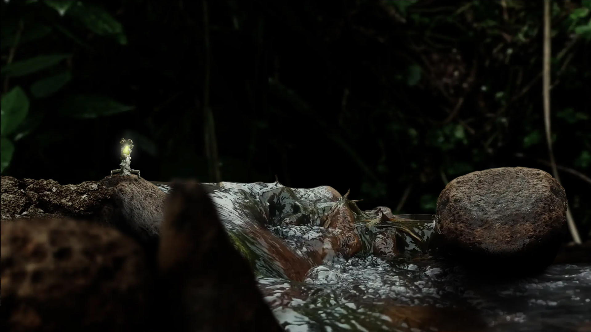 Seedlings Screenshot 2