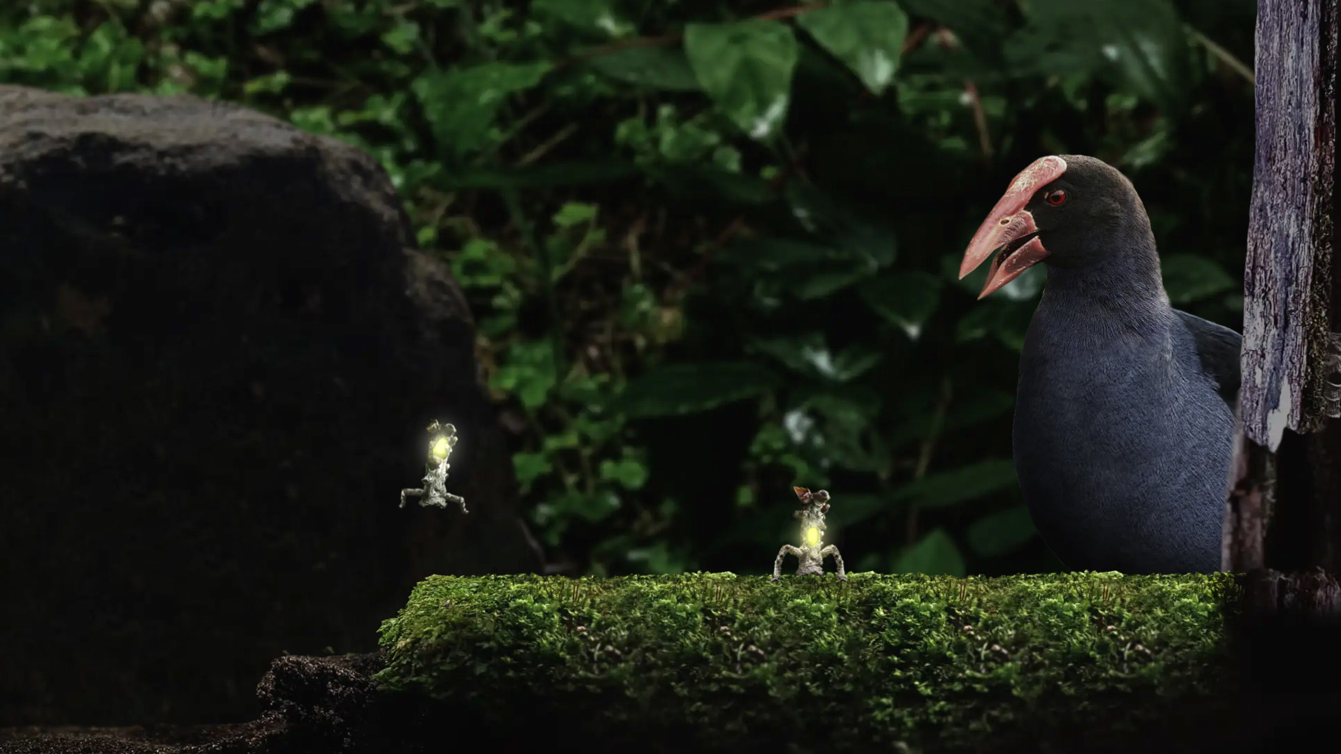 Seedlings Screenshot 5