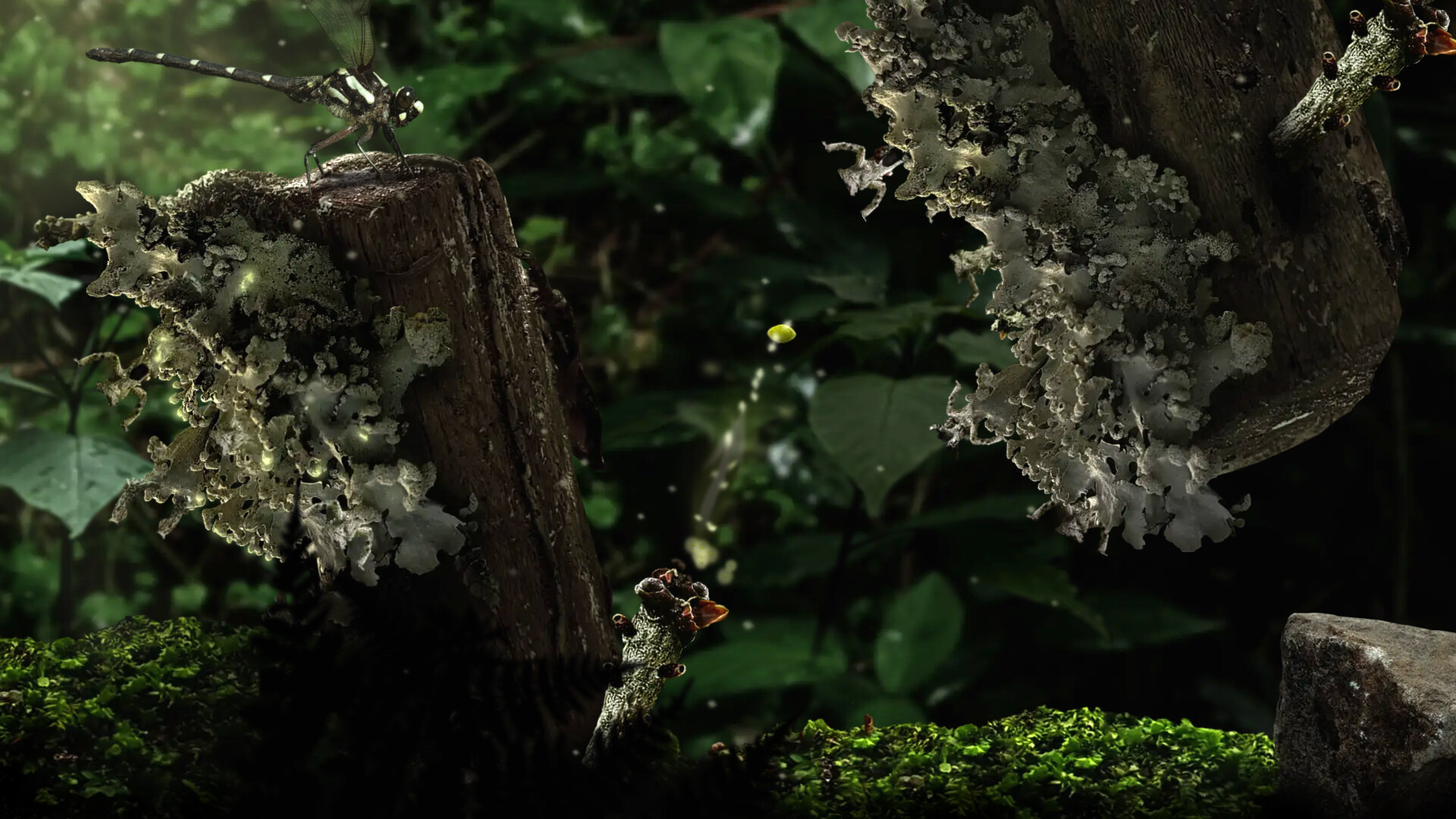 Seedlings Screenshot 4