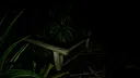 Evil's Maze Screenshot 5