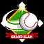 Grand Slammer icon