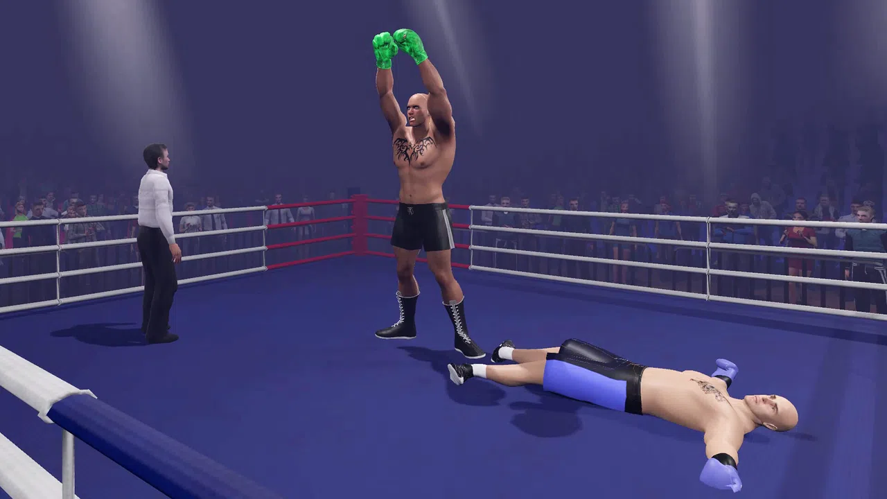 Boxing Knockout Showdown Screenshot 5