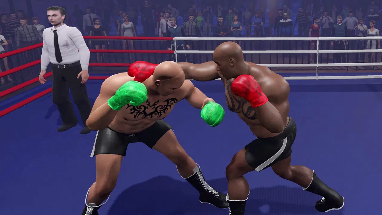 Boxing Knockout Showdown Screenshot 1