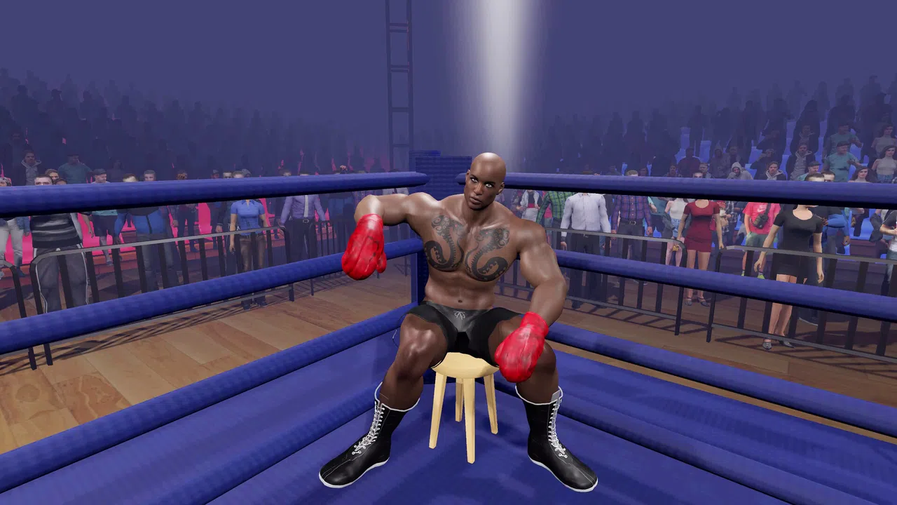 Boxing Knockout Showdown Screenshot 2