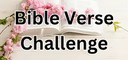 Bible Verse Challenge