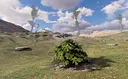 Bush Simulator Screenshot 0