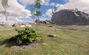 Bush Simulator Screenshot 1