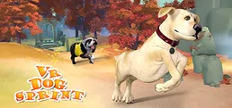 VR Dog Sprint