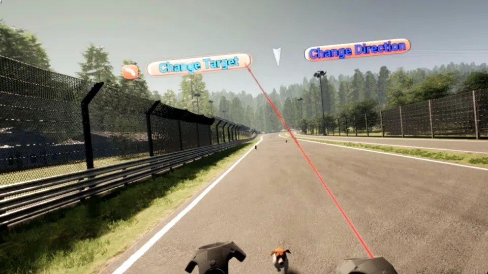 VR Dog Sprint Screenshot 3