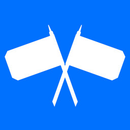 Flag Runner icon