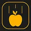RAPID DESCENT icon