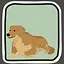 Dog in Heat icon