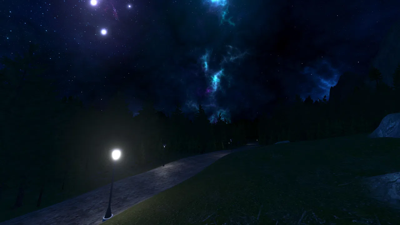 Snowless Night Screenshot 3