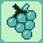 Purple Grape icon