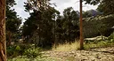 For What Will Come: Reimagined Screenshot 4