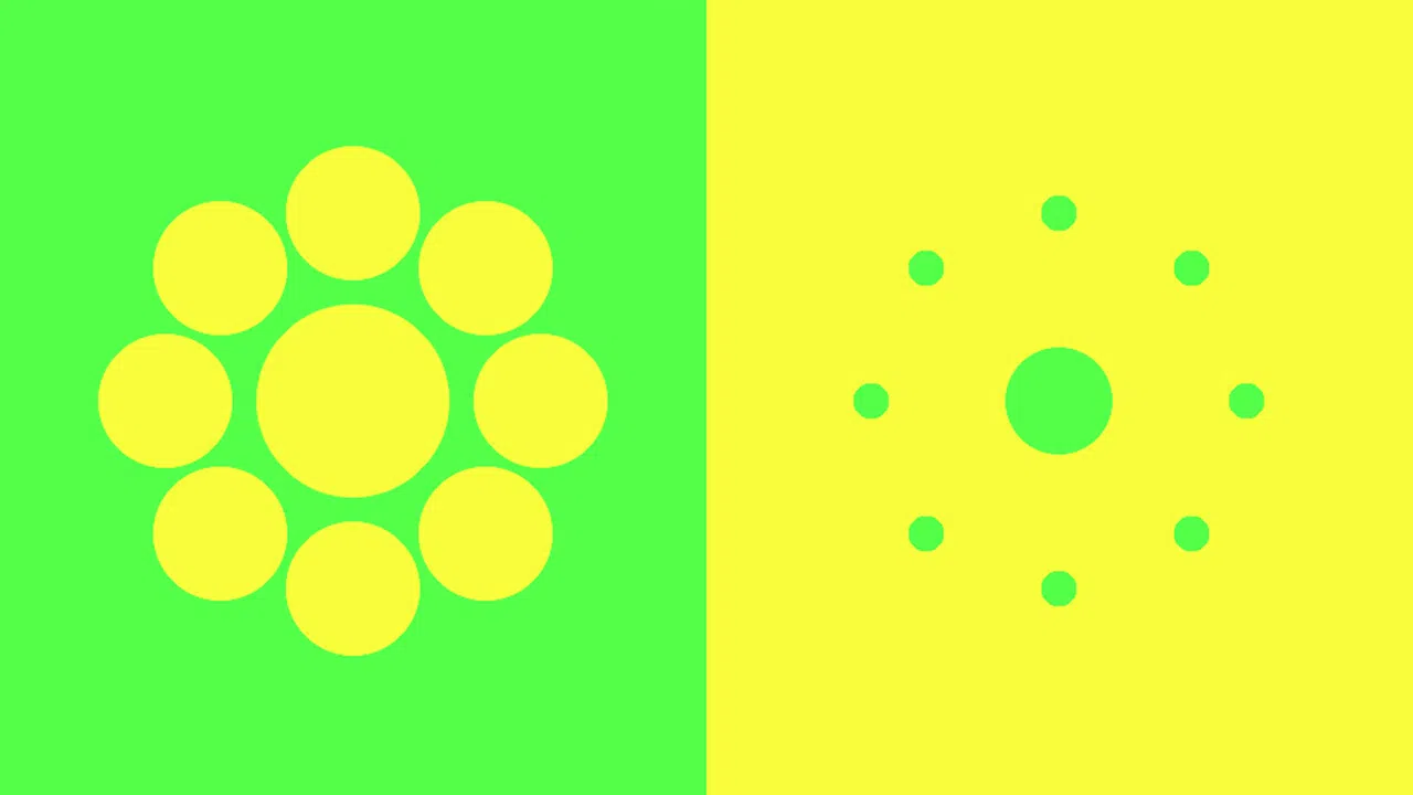 ShapeSCALE Screenshot 3