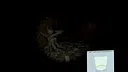 Mystery of Gevaudan Screenshot 3