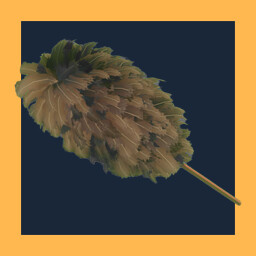 Vietnamese Feather Duster