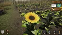 Market Gardener Screenshot 7