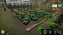 Market Gardener Screenshot 2