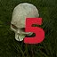 Find skull level 5 icon