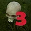 Find skull level 3 icon