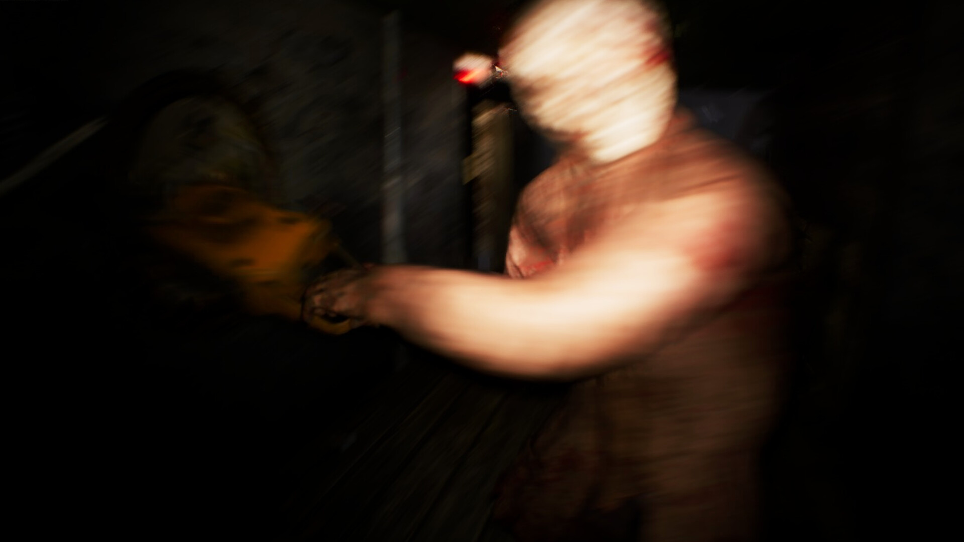 SILVARN Screenshot 7