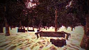 NAGAISAN Screenshot 11