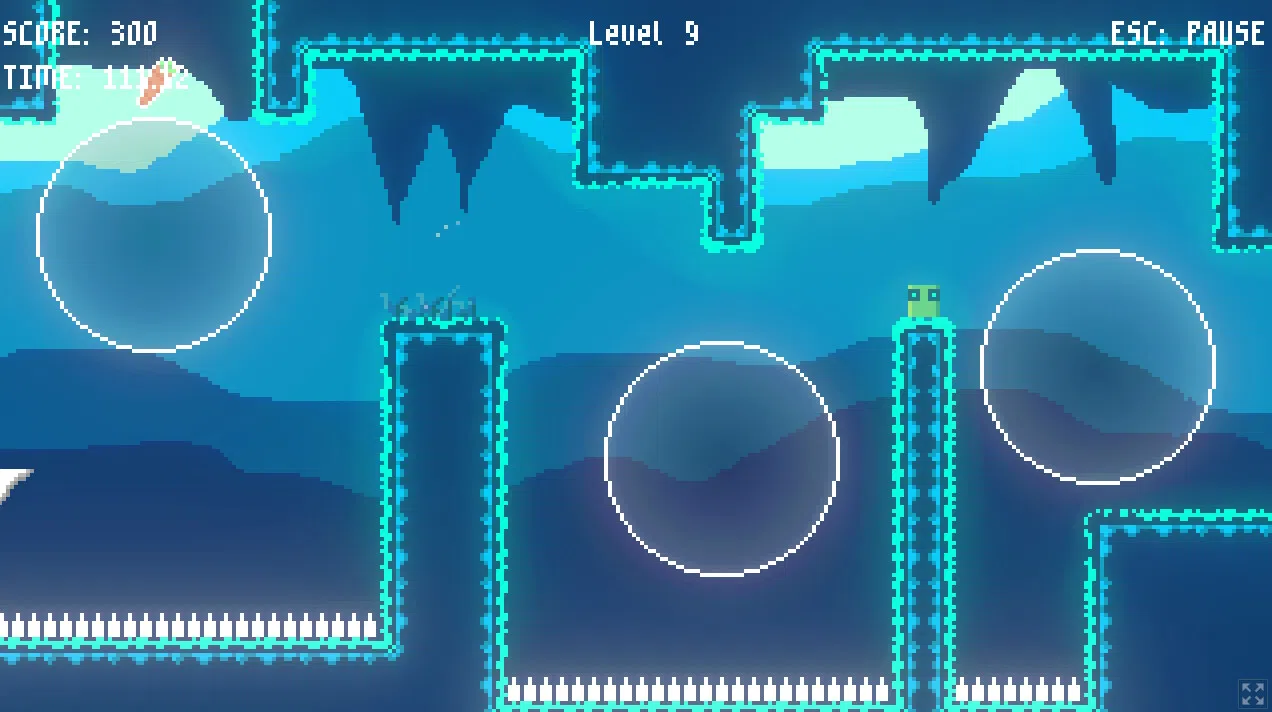Carrot Catcher Screenshot 2