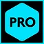 Pro icon