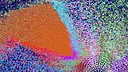 I Only Magic Bullet Screenshot 3