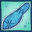 Ciliates! icon