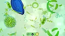 Aggi's Tiny Friends Screenshot 0