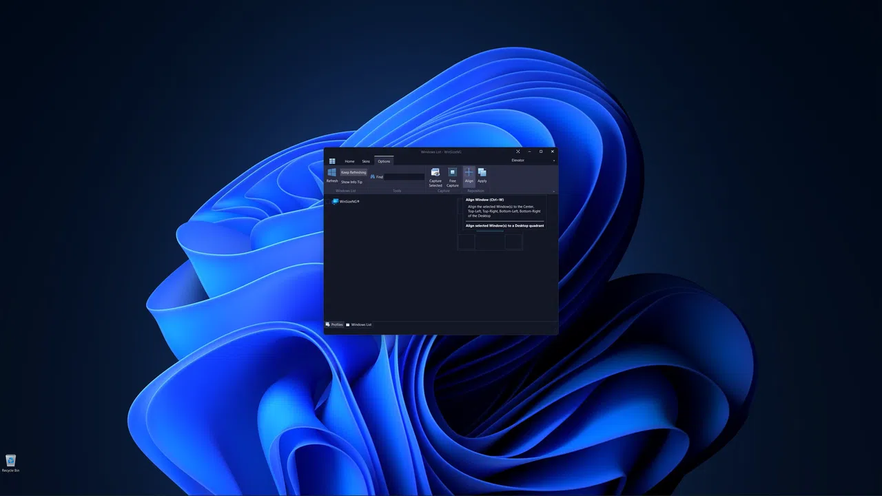 WinSizeNG - Resize your desktop applications Screenshot 2