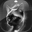 Level 29 icon