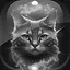 Level 17 icon