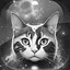Level 10 icon