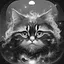 Level 8 icon