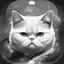 Level 13 icon
