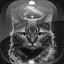 Level 26 icon