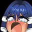 AngryHikari icon