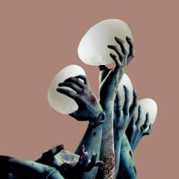 Resident Evil fan? icon