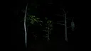Phobic Nightmares Screenshot 1