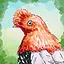 Birdwatcher icon